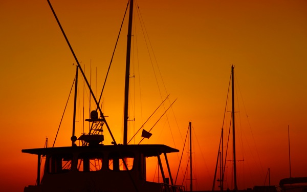 IMG 1453  Arbeitskopie 2